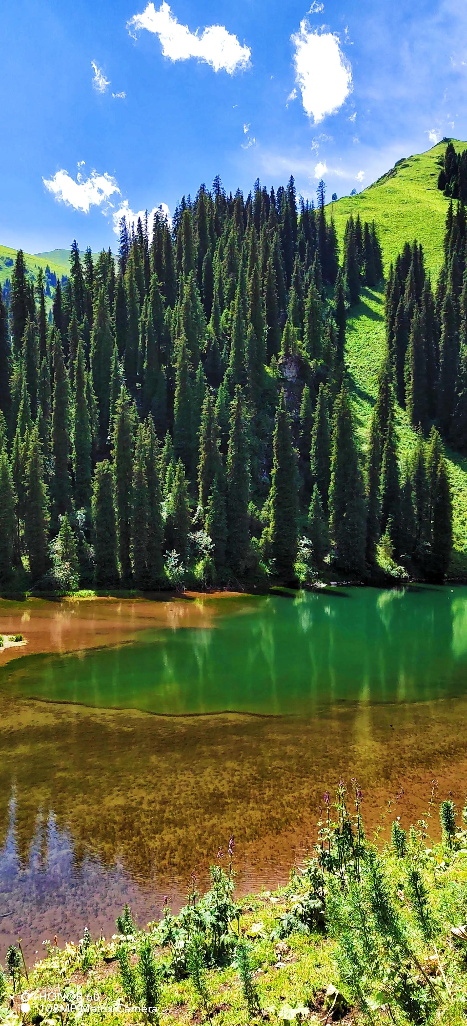 穿越森林探险视频,穿越森林探险之旅