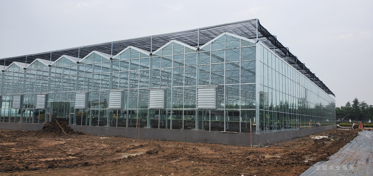 柳州大棚一亩3000元,南方一亩大棚造价多少钱