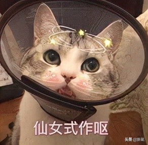 宋智雅回应假货风波,宋智雅的假货风波怎么发现的