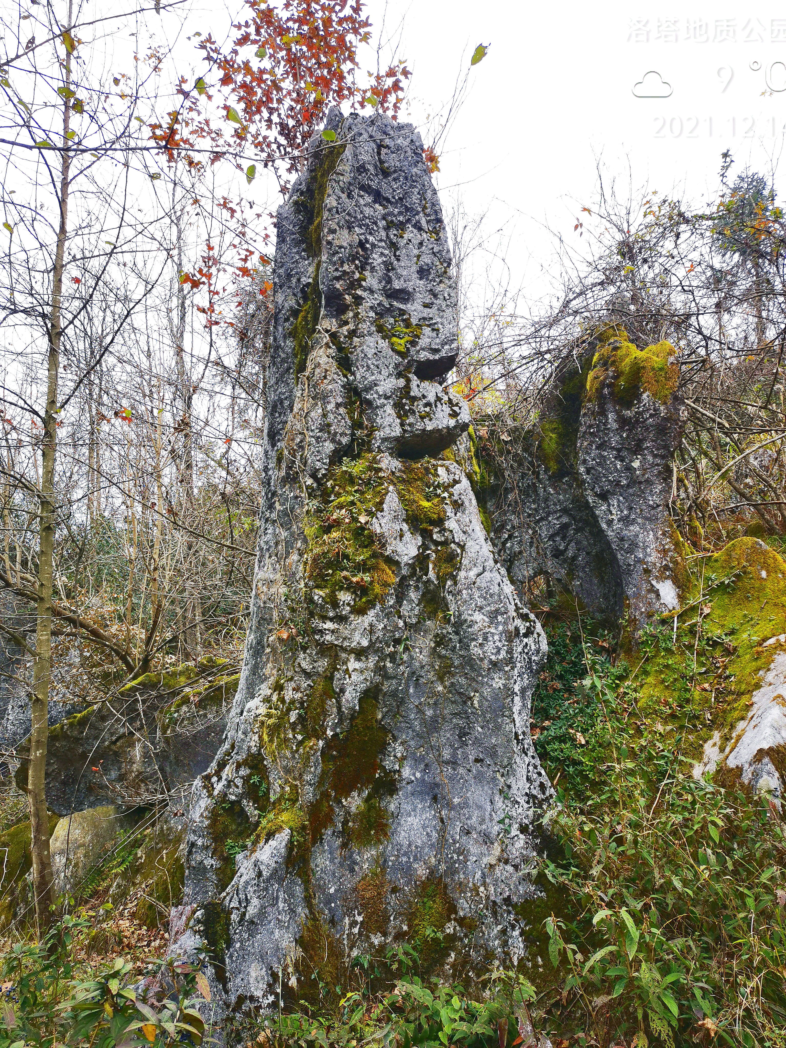 这里的两部百科全书值得一读