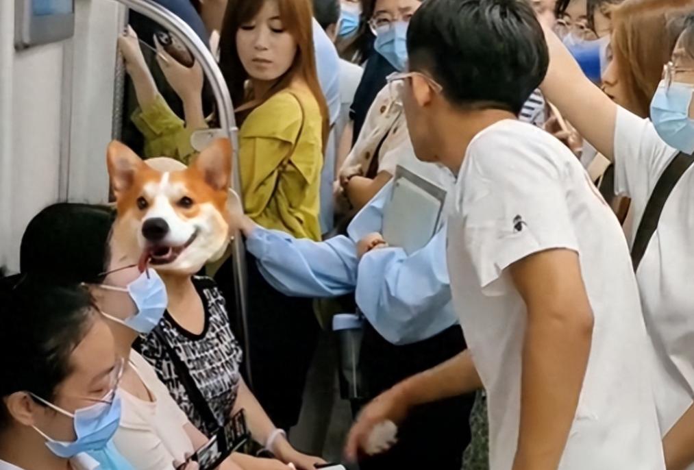 青岛大妈骂人事件后续,青岛大妈骂人事件