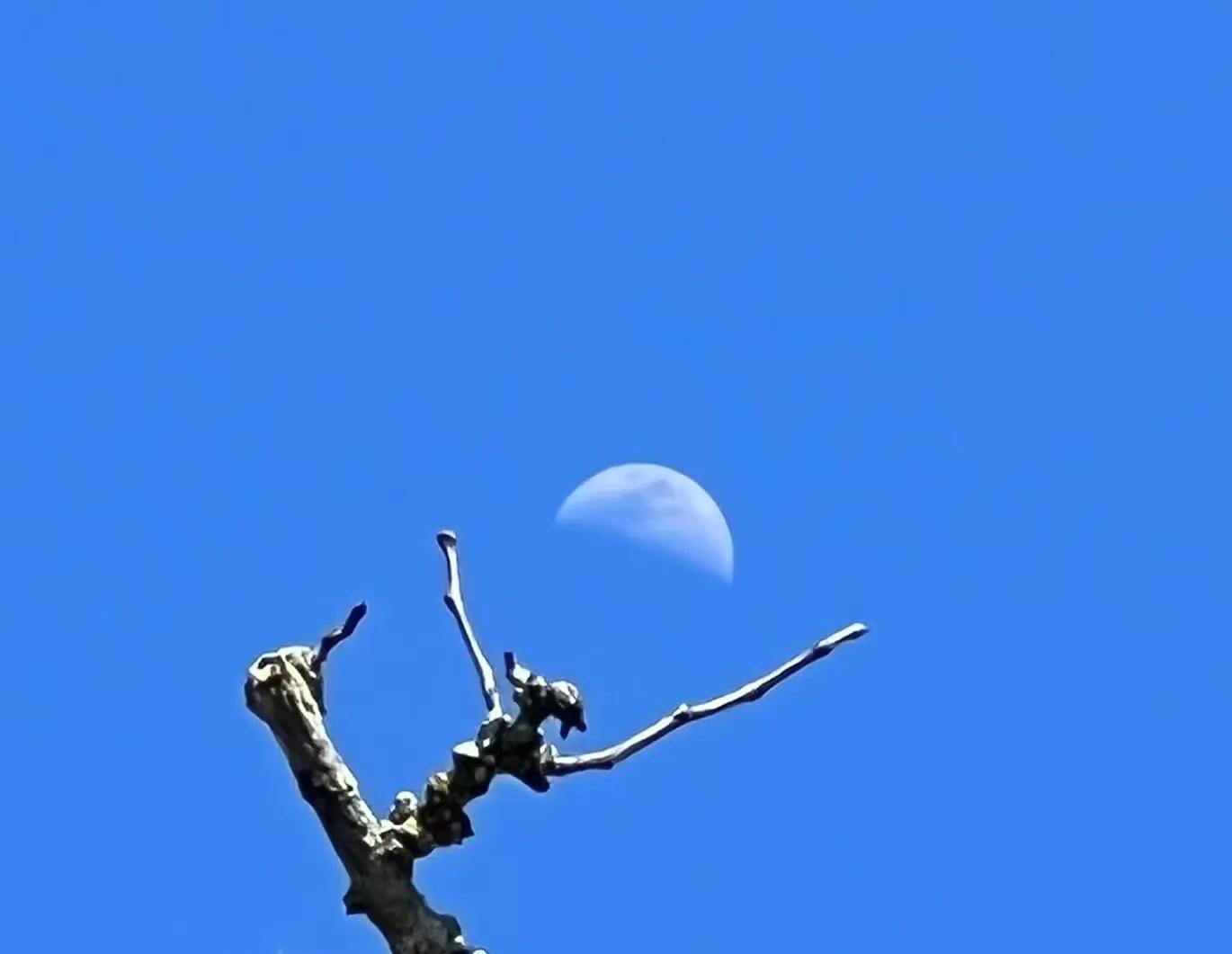 手拍世界近期作品,手拍世界完整版视频