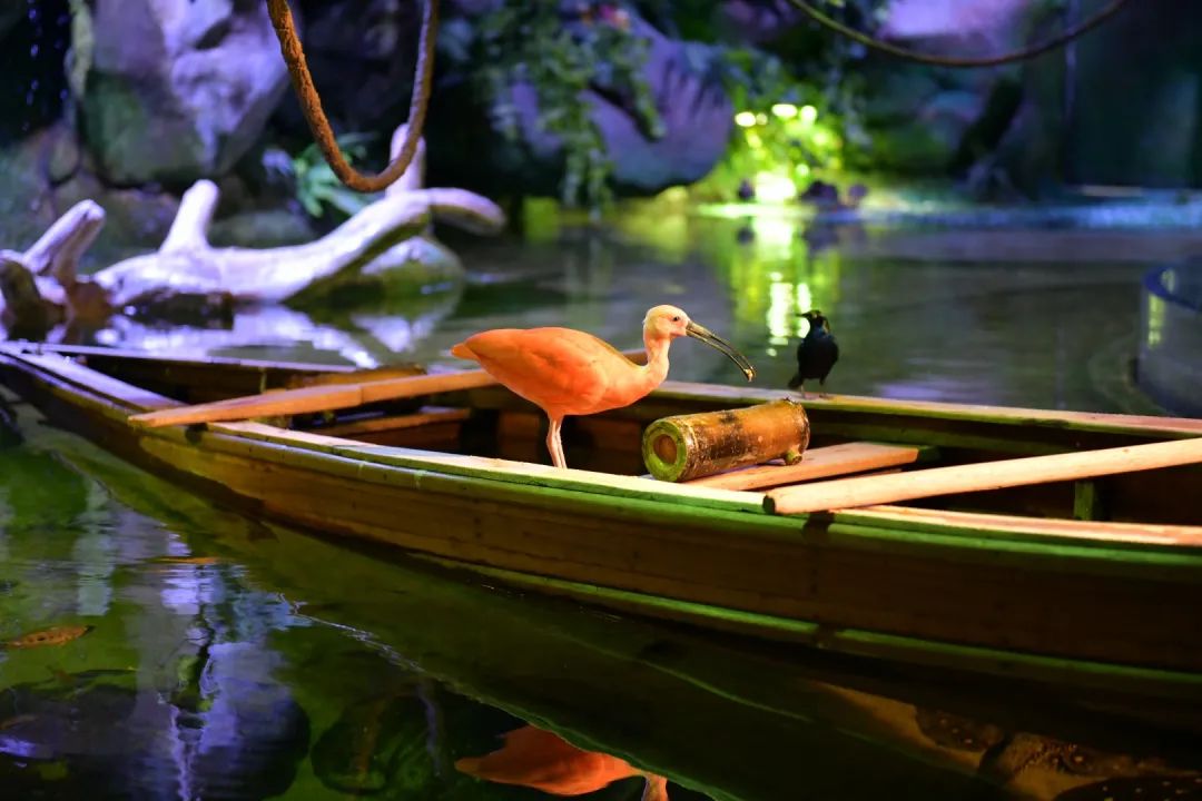 V世界｜夏天，在阿布扎比的11个“极致”体验