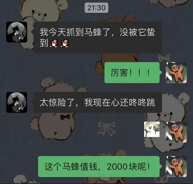 那些为了动森买NS的人，现在都后悔了吗？