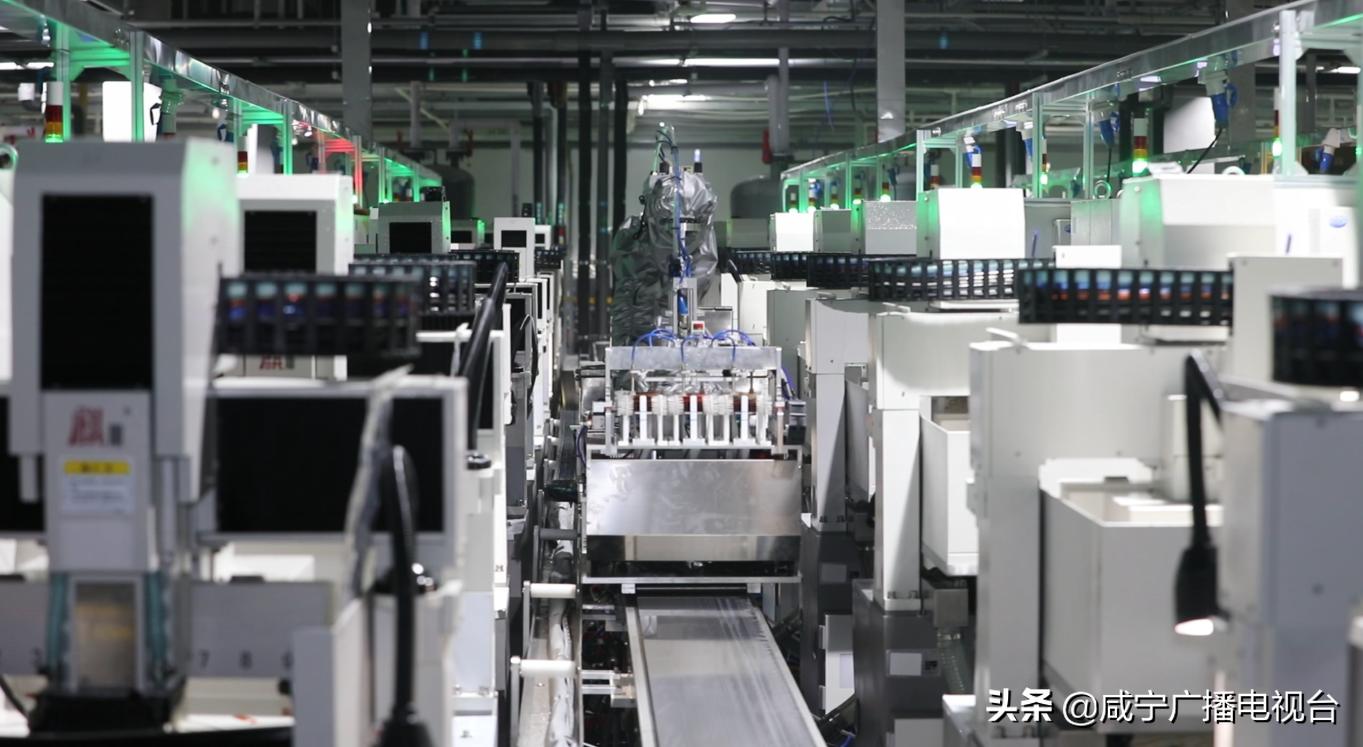 新春走基层雄安新区,新春走基层乡村振兴