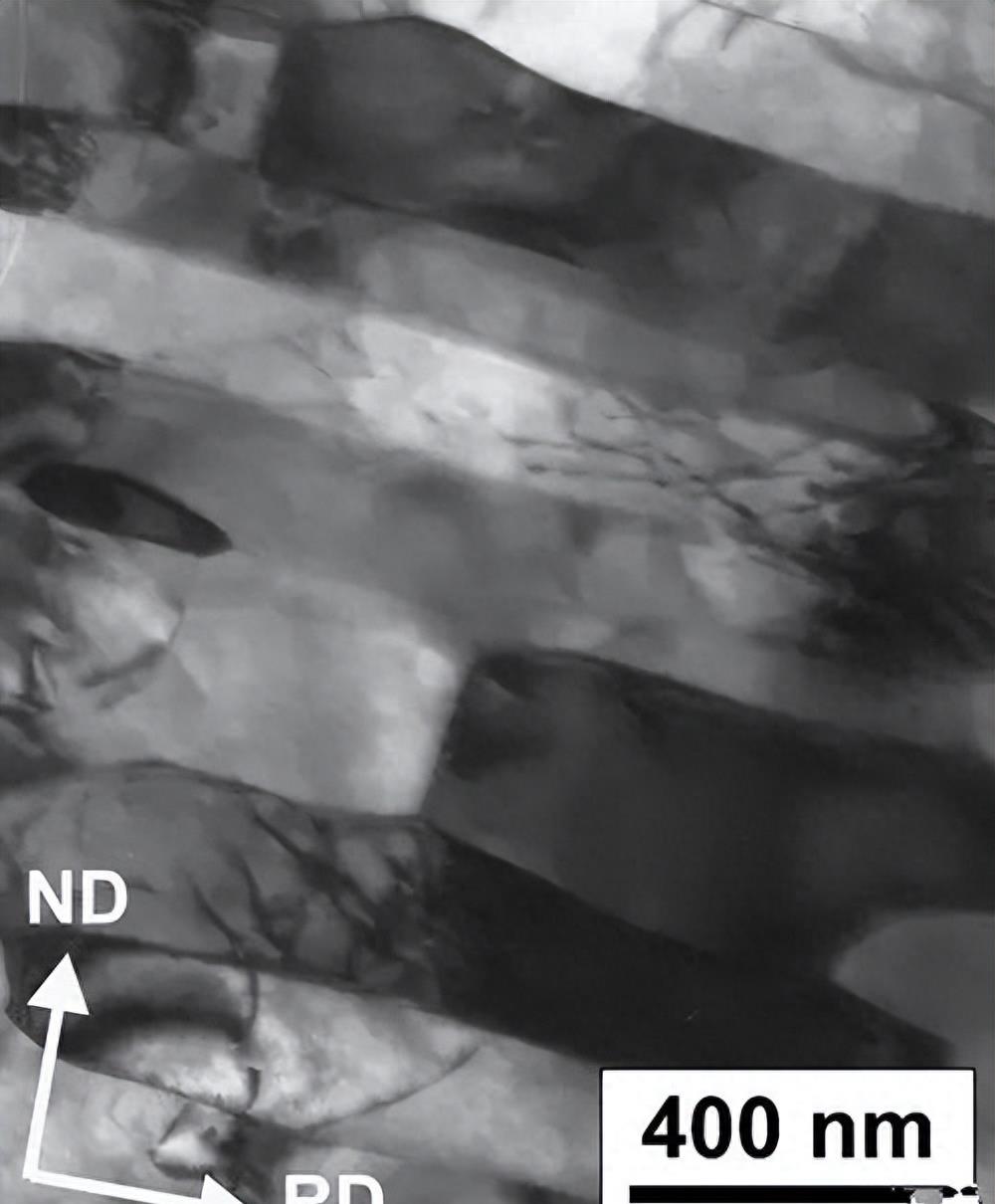 tem新手教程,tem上色