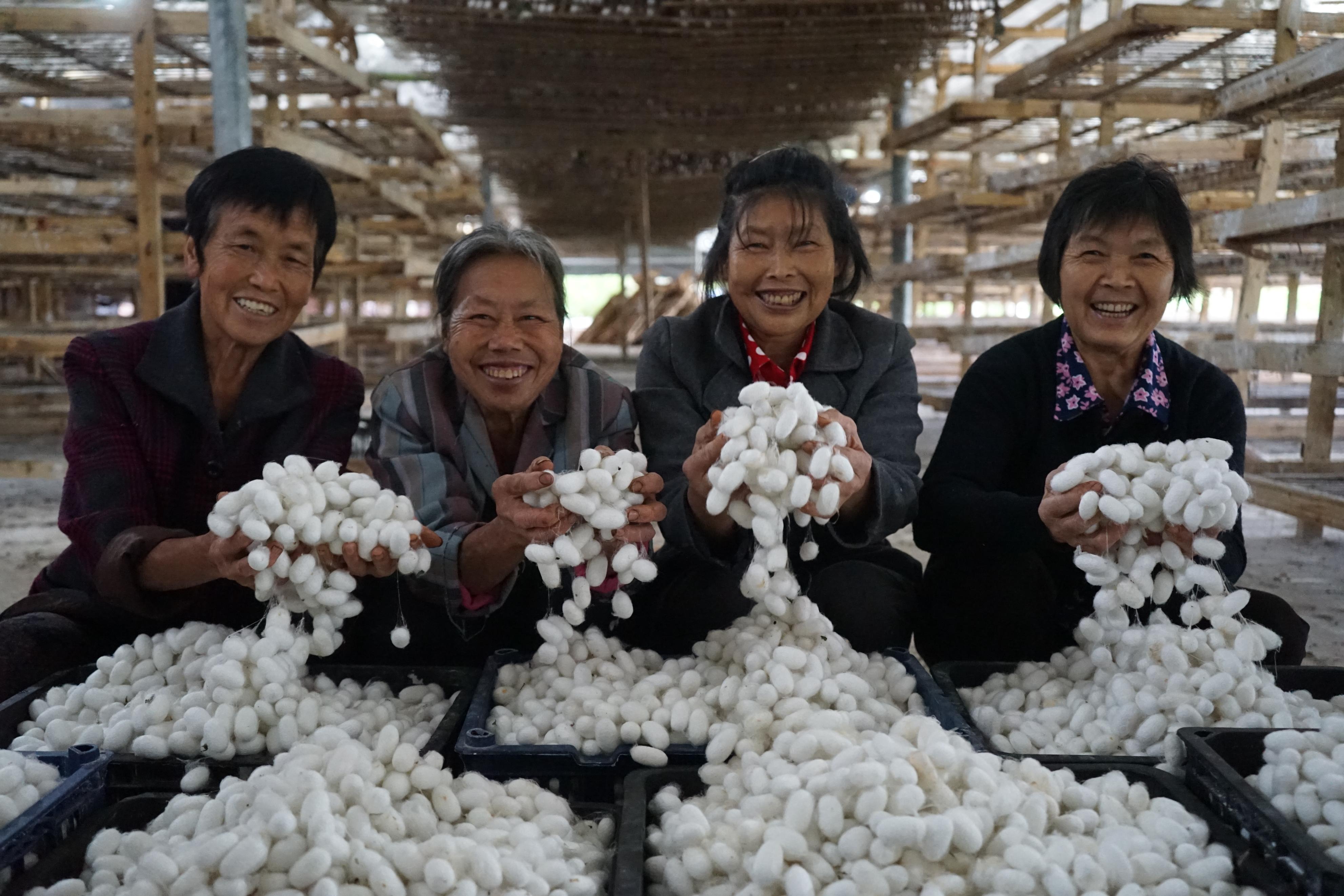 乡约丰收季视频,乡约看振兴