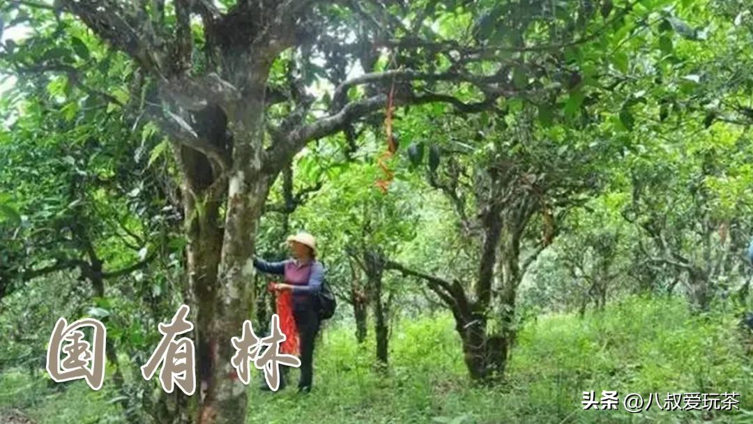 购买普洱茶避坑指南,漫谈普洱茶购买时需要坚守的原则