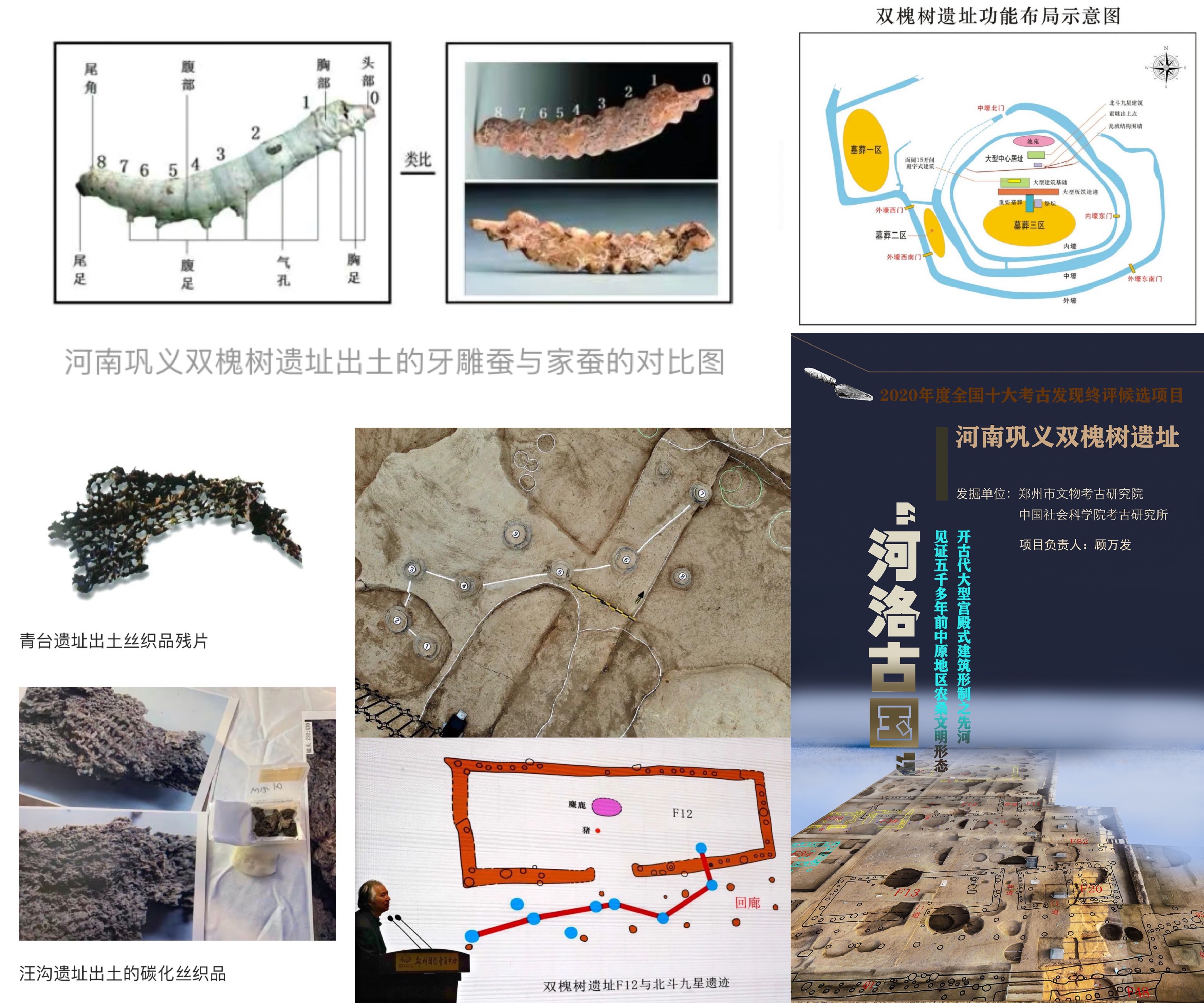 为什么新郑被称为黄帝故里,为什么说新郑是黄帝的故里