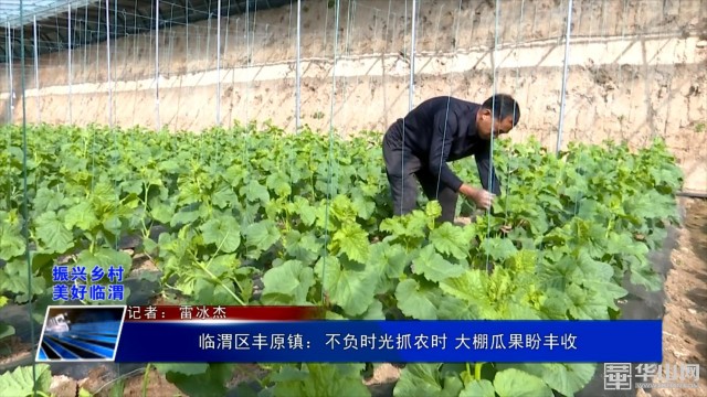 不负农时不负春春耕备耕农事忙,不负农时抓好春耕大生产