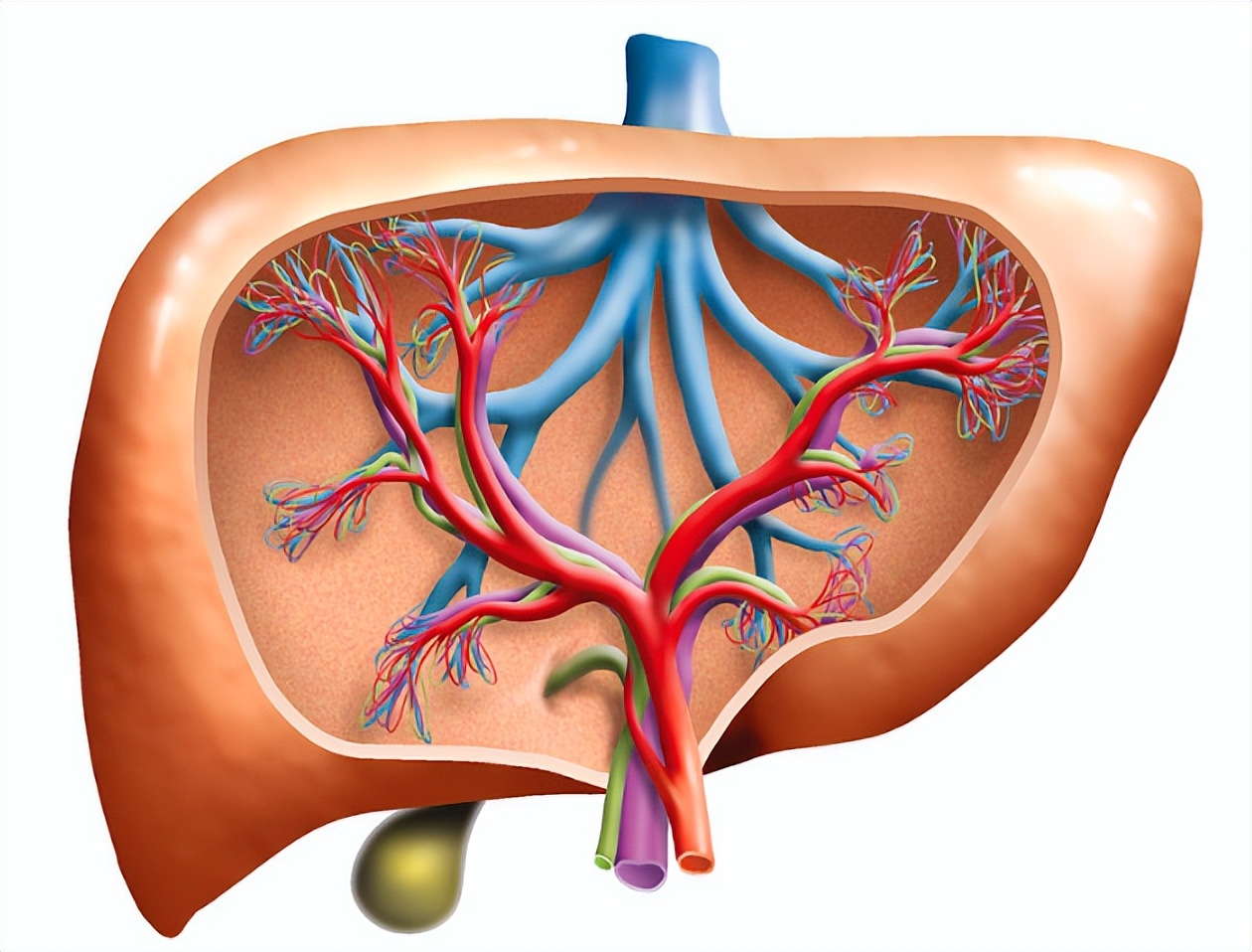 儿童肝血管瘤什么原因引起,乳腺癌患者肝血管瘤原因