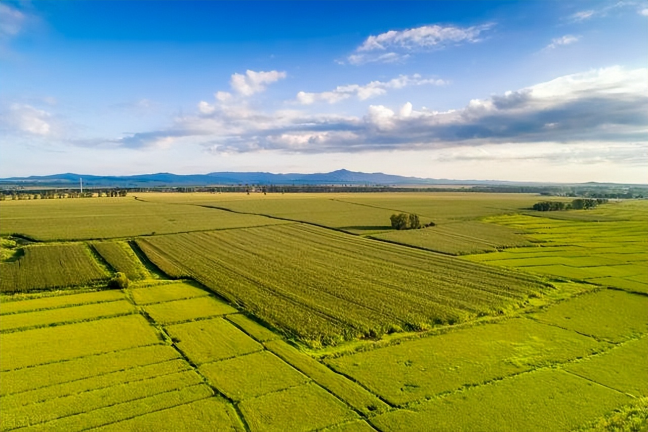 北大荒为什么要退耕还荒,北大荒退耕是什么时候