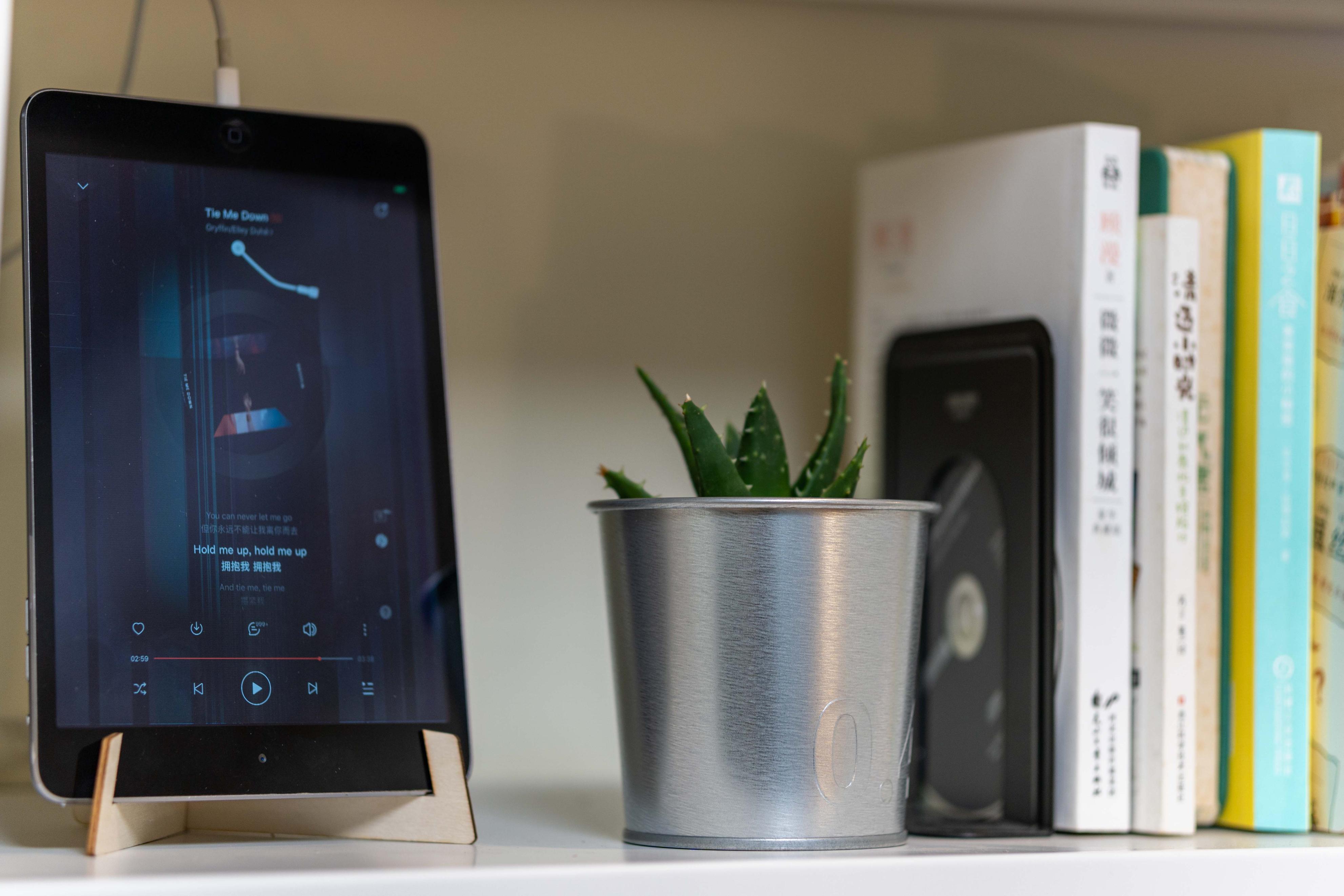 小户型图书馆书架客厅,图书馆书架放客厅