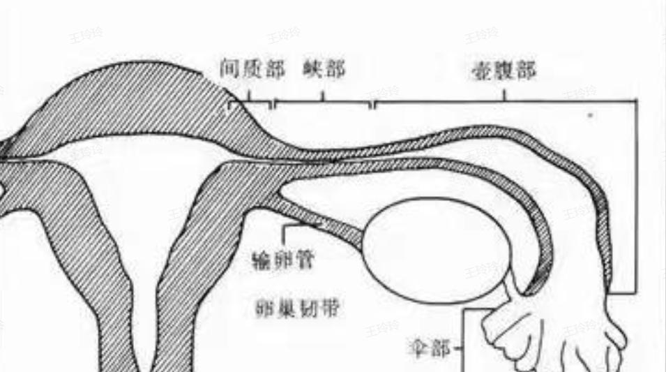 为什么有些女生一碰爱情就心乱,有的女人一碰就笑这是什么原因