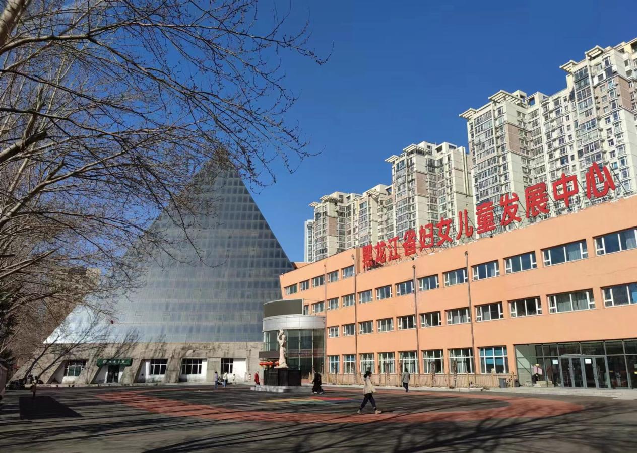 哈尔滨围棋业余,哈尔滨市业余围棋发展史