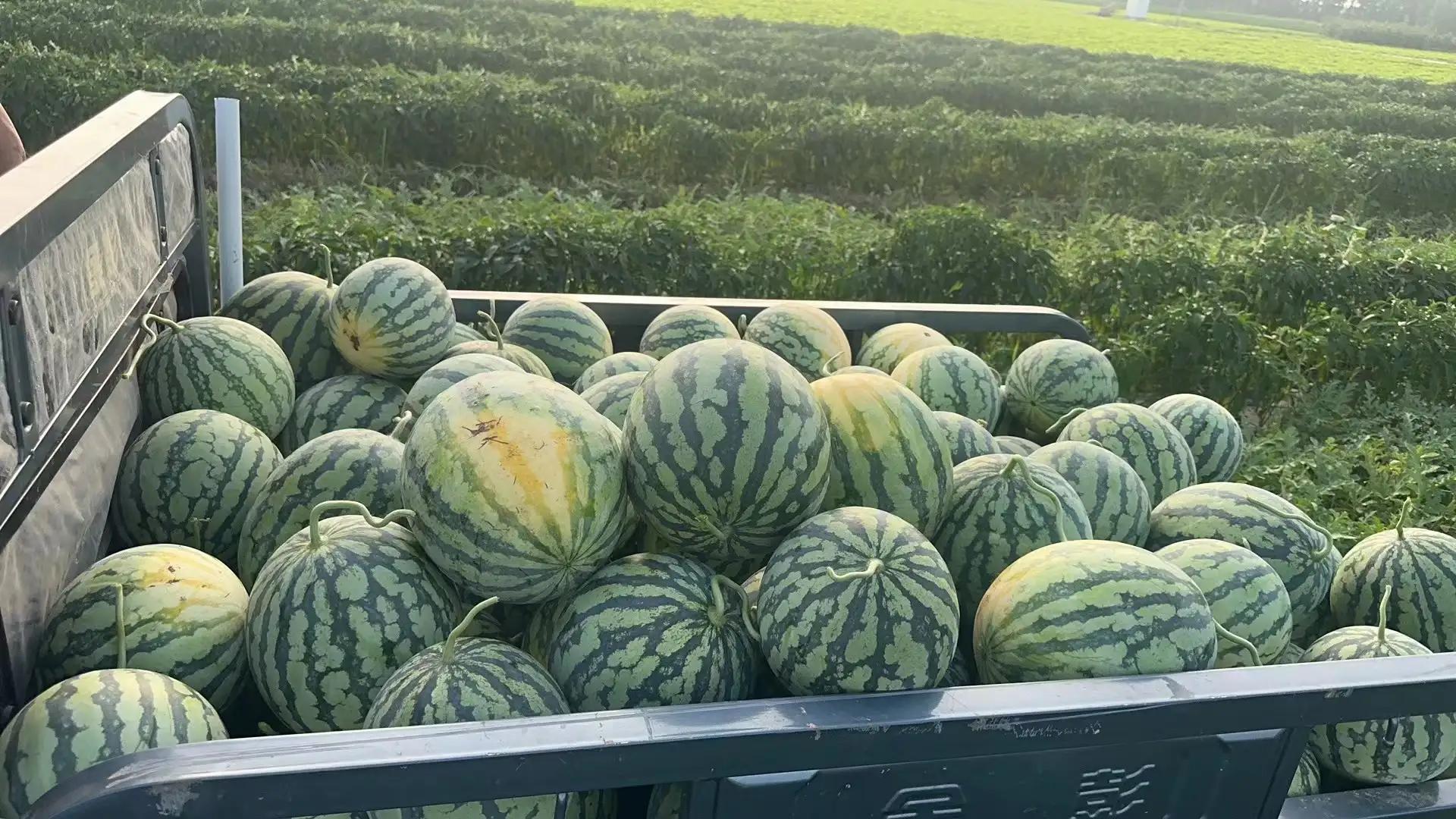 田园风光的古诗,田园风光纯音乐