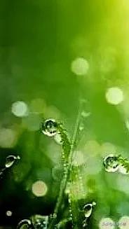 最美的手机壁纸大全,养眼养心的壁纸