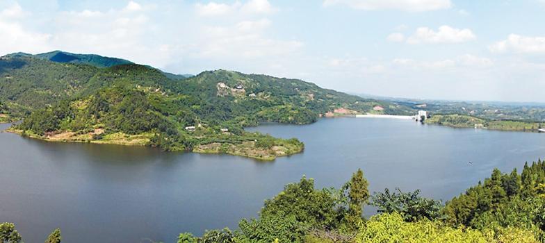 浮游植物增加会水质富营养化吗,浮游植物对水体起哪些作用