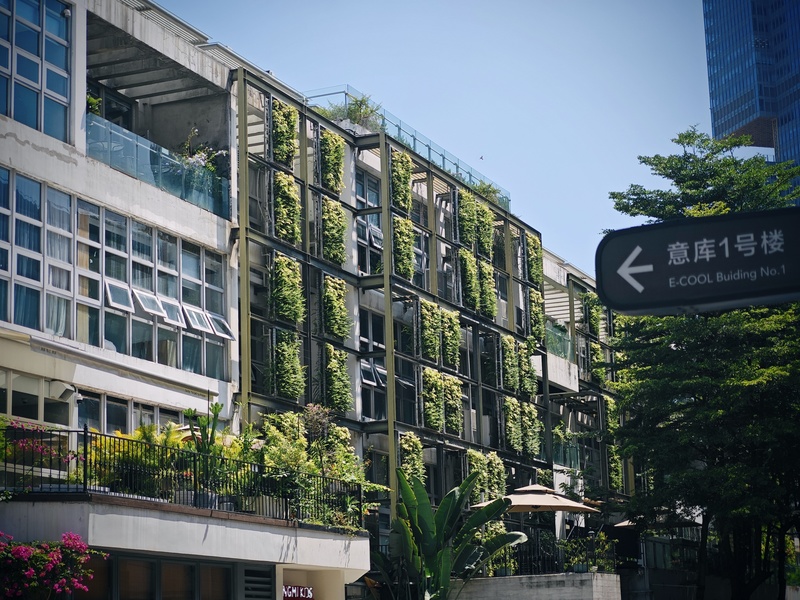 深圳市蛇口攻略,深圳海岛蛇口