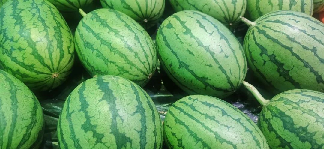西瓜糖分高为什么糖尿病人可以吃,糖尿病人吃消暑西瓜