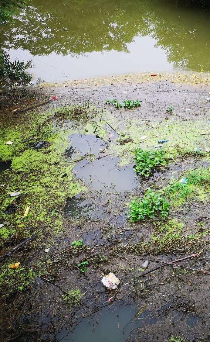 泰兴河里的鱼儿多如牛毛,取鱼是一种乐趣,也是为了下酒菜