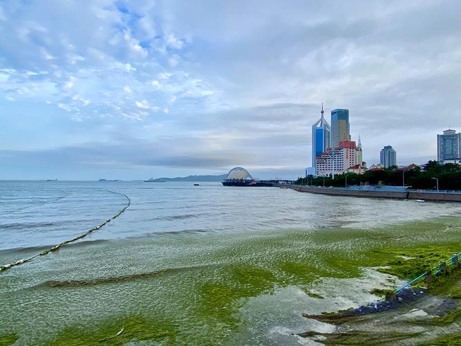 青岛自由行详细攻略五日游,跟团去青岛自由行攻略最新