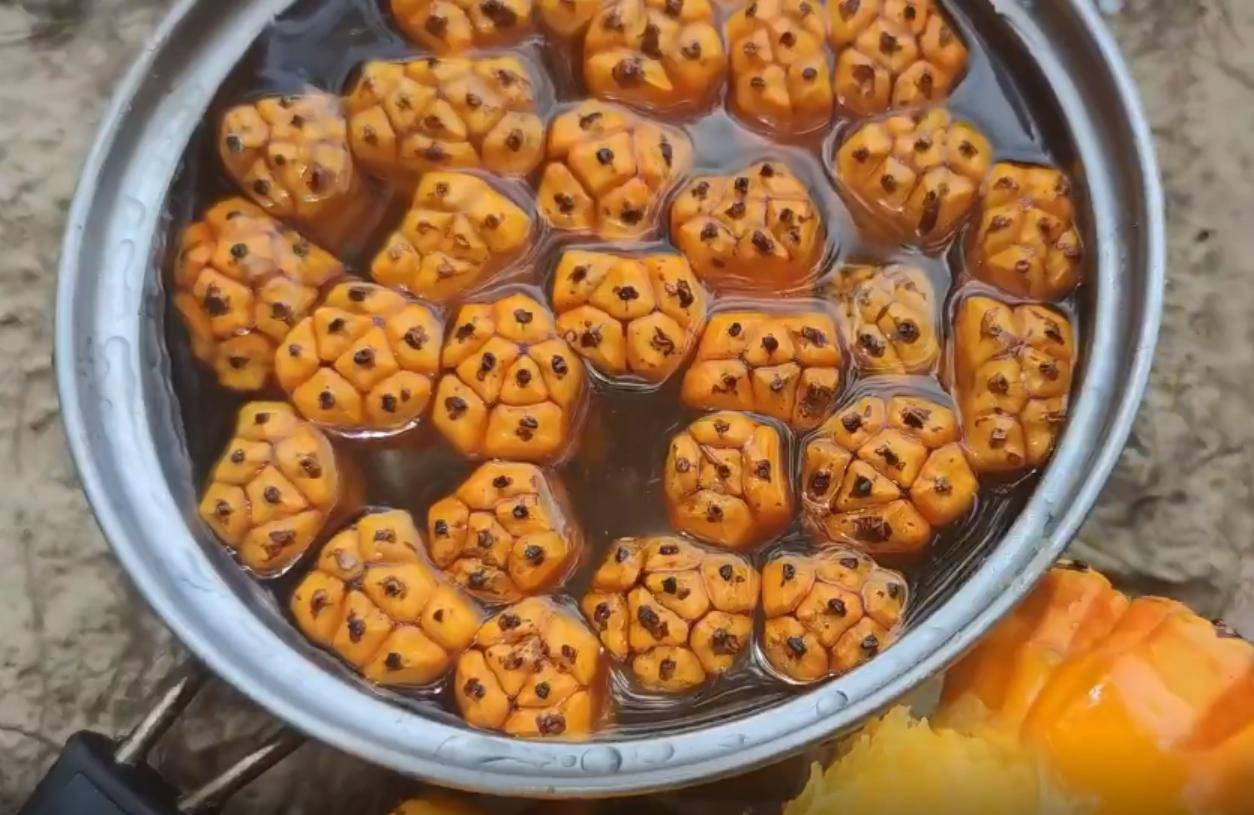 山菠萝与假菠萝有什么区别,海南野菠萝什么时候能吃