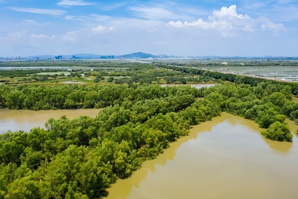 湾区光影魅力,南沙湾区超美风景线