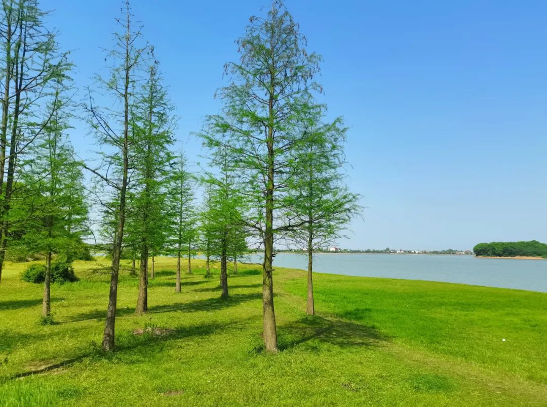 长沙适合夏天避暑打卡的地方,长沙周边旅游避暑推荐