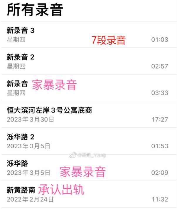 足球运动员被家暴,足球队员家暴