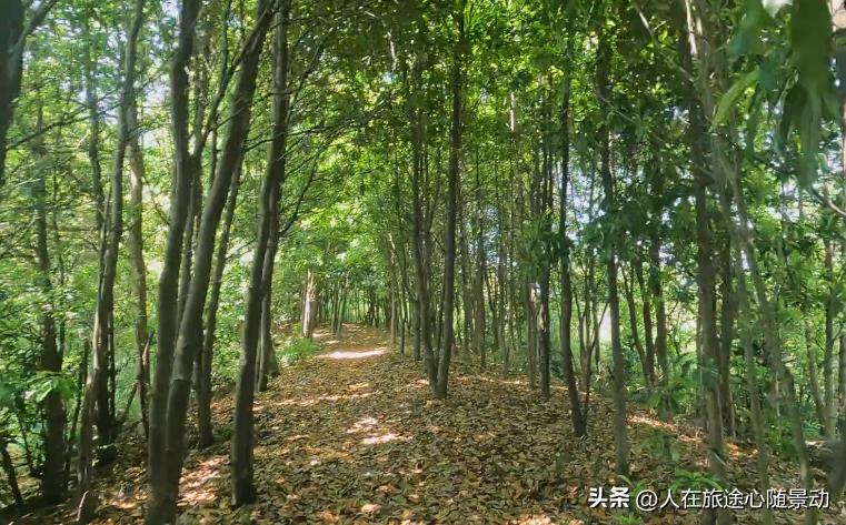 宁波旅游攻略必去十种景点,宁波旅游必去十大景点推荐一下