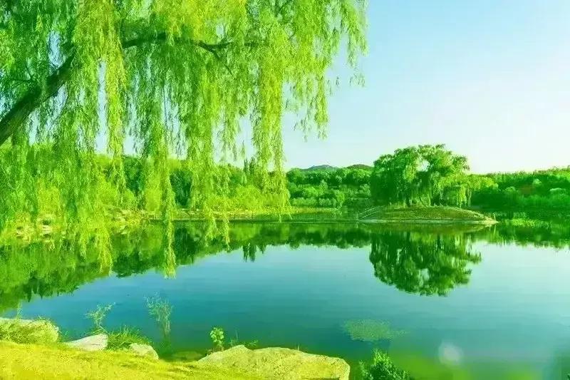 微信里的人都有什么特征,怎么查看微信里的秘密