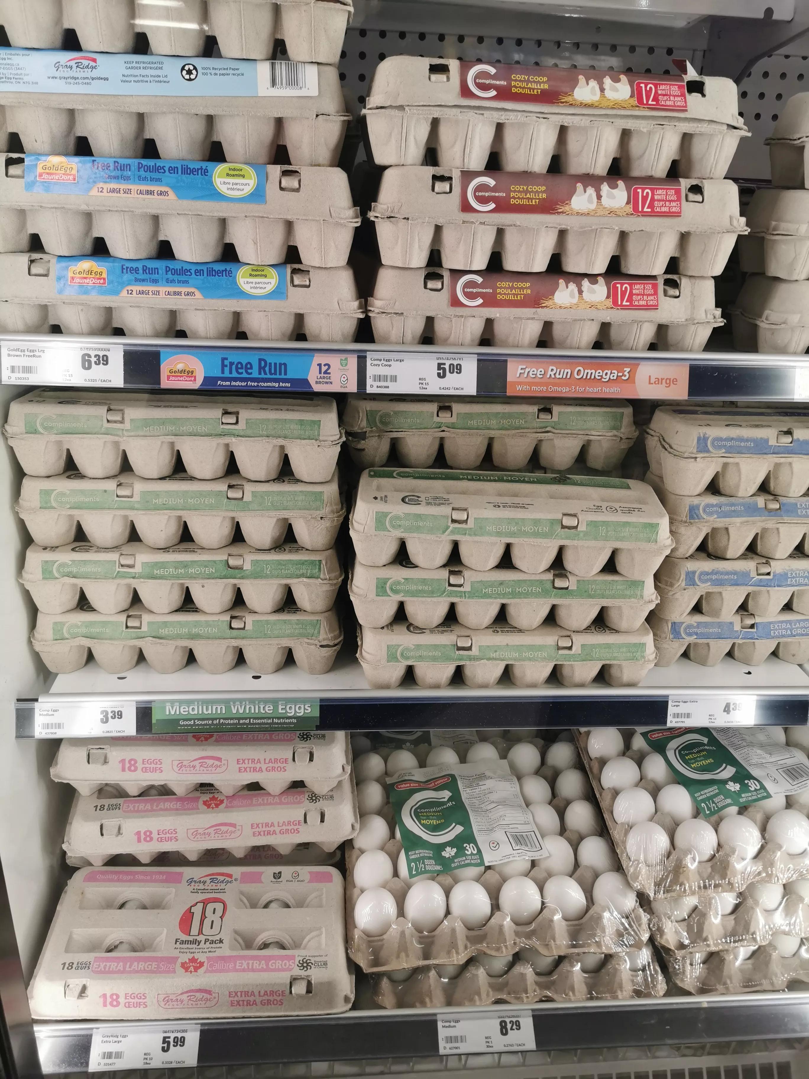 把食品价格降下来！北约克西人鲜哥超市（FRESHCO）的经营口号