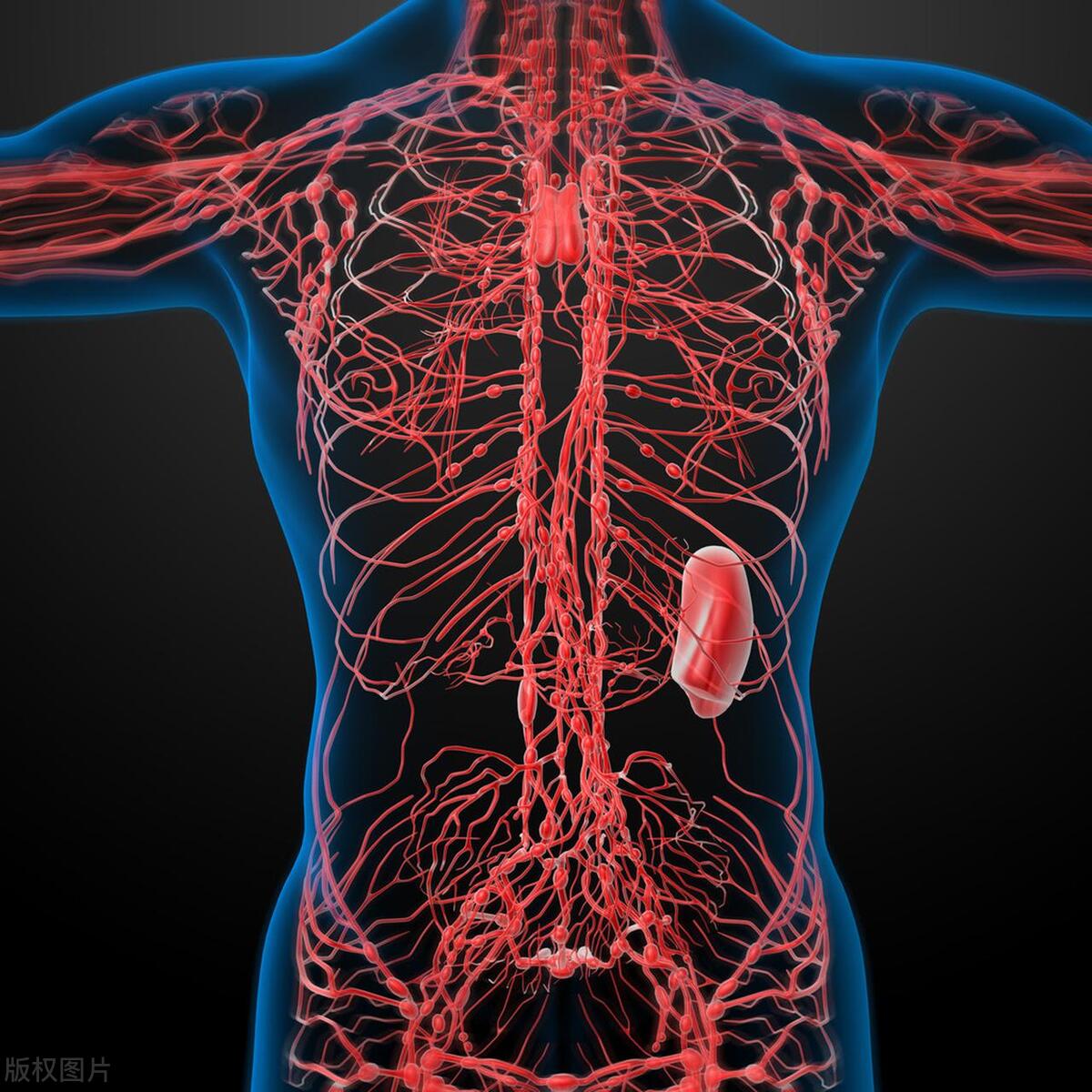 女性胸部能摸到硬块，小心乳腺癌，乳腺癌会出现这6个症状