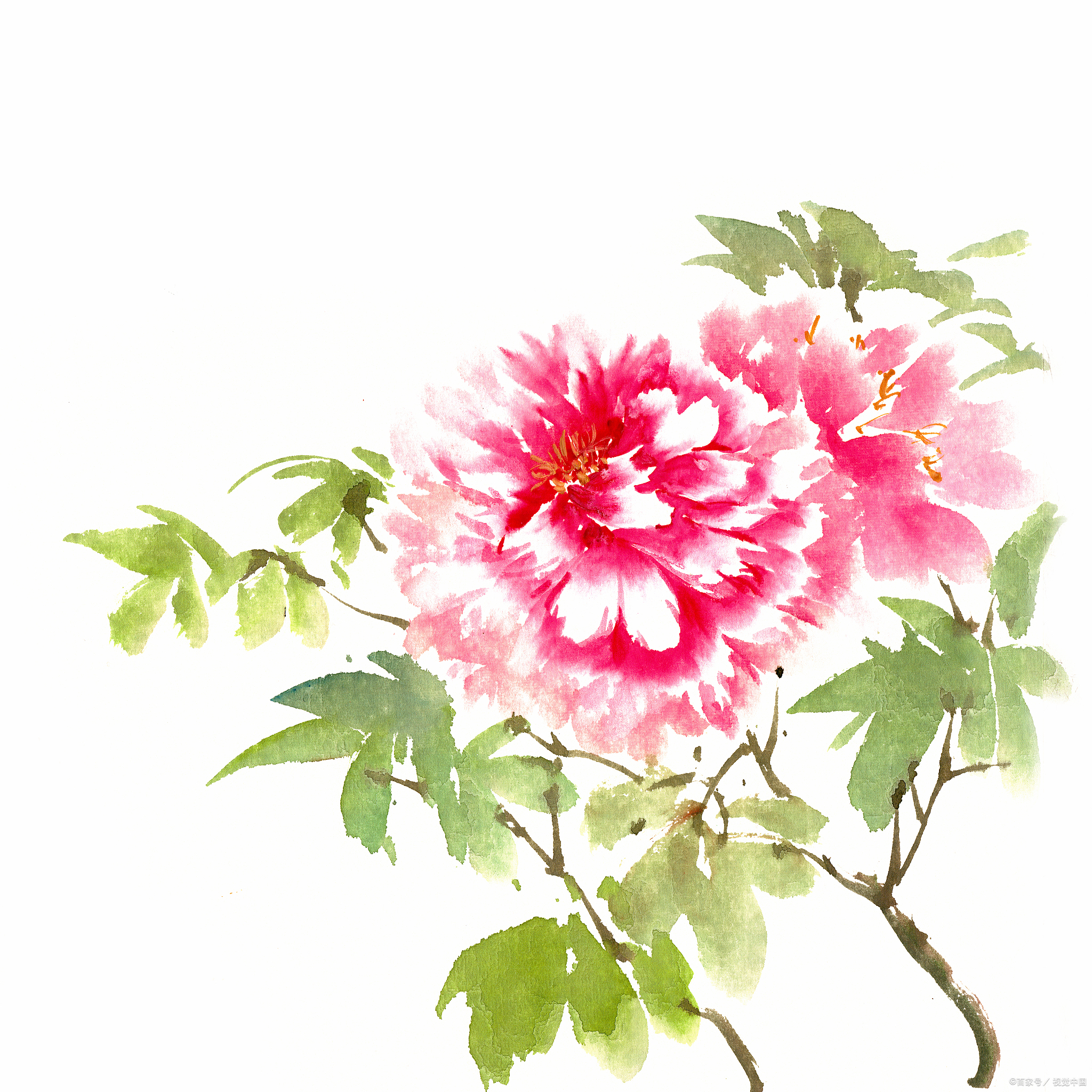 春天赏花,怎么发朋友圈才有格调,64首诗词来助力