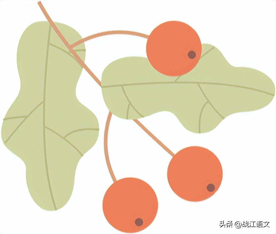 2022全国中考语文名著真题汇编,语文中考试卷2022名著阅读