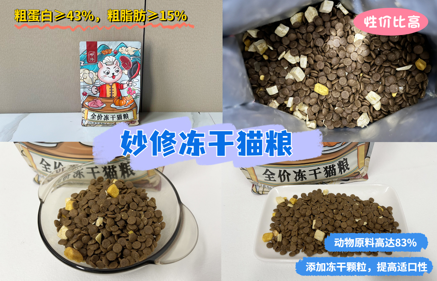 为什么蓝猫经常会被弃养,蓝猫被弃养了它知道吗