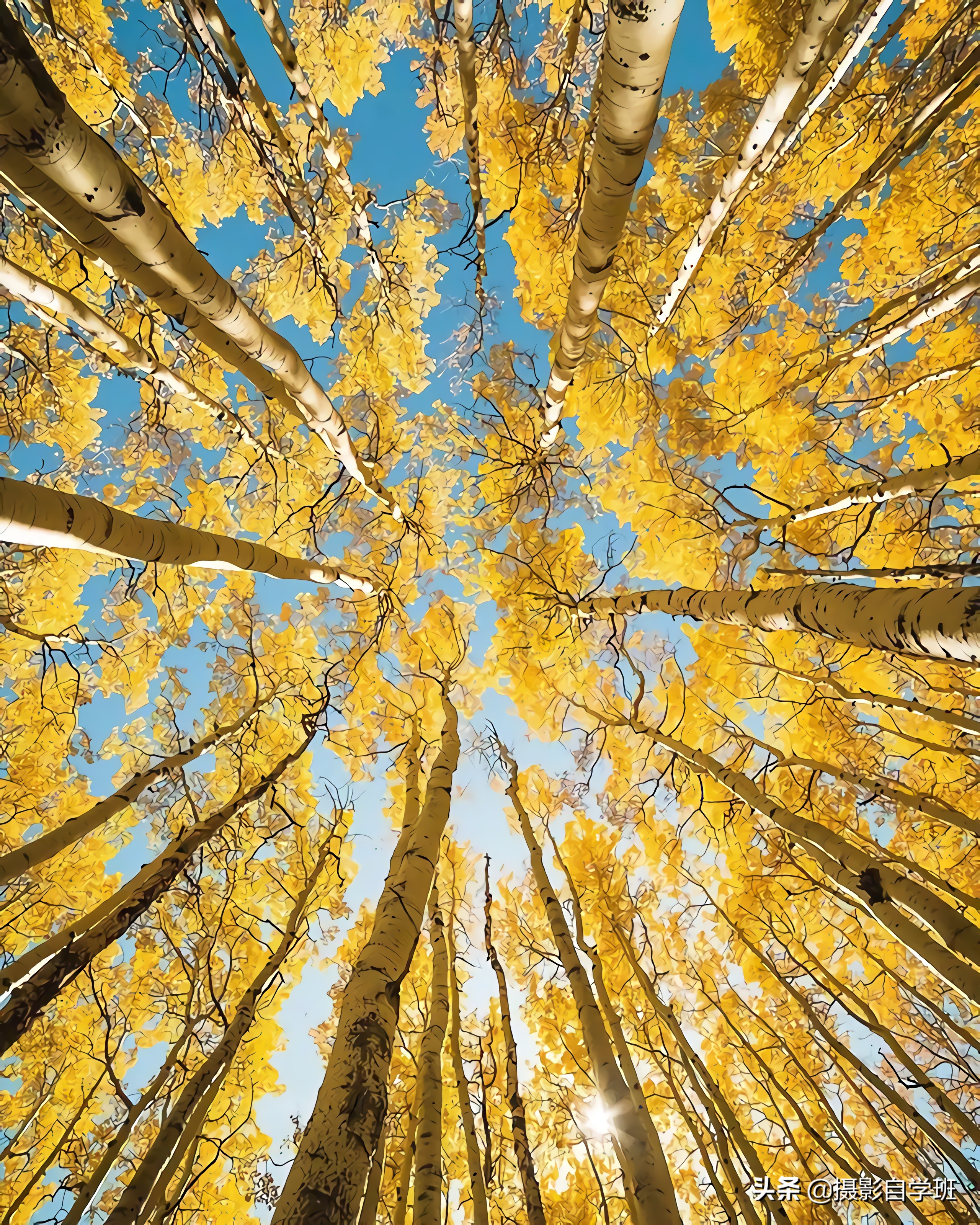 拍风光照的12个摄影技巧,怎么拍最漂亮风景摄影技法