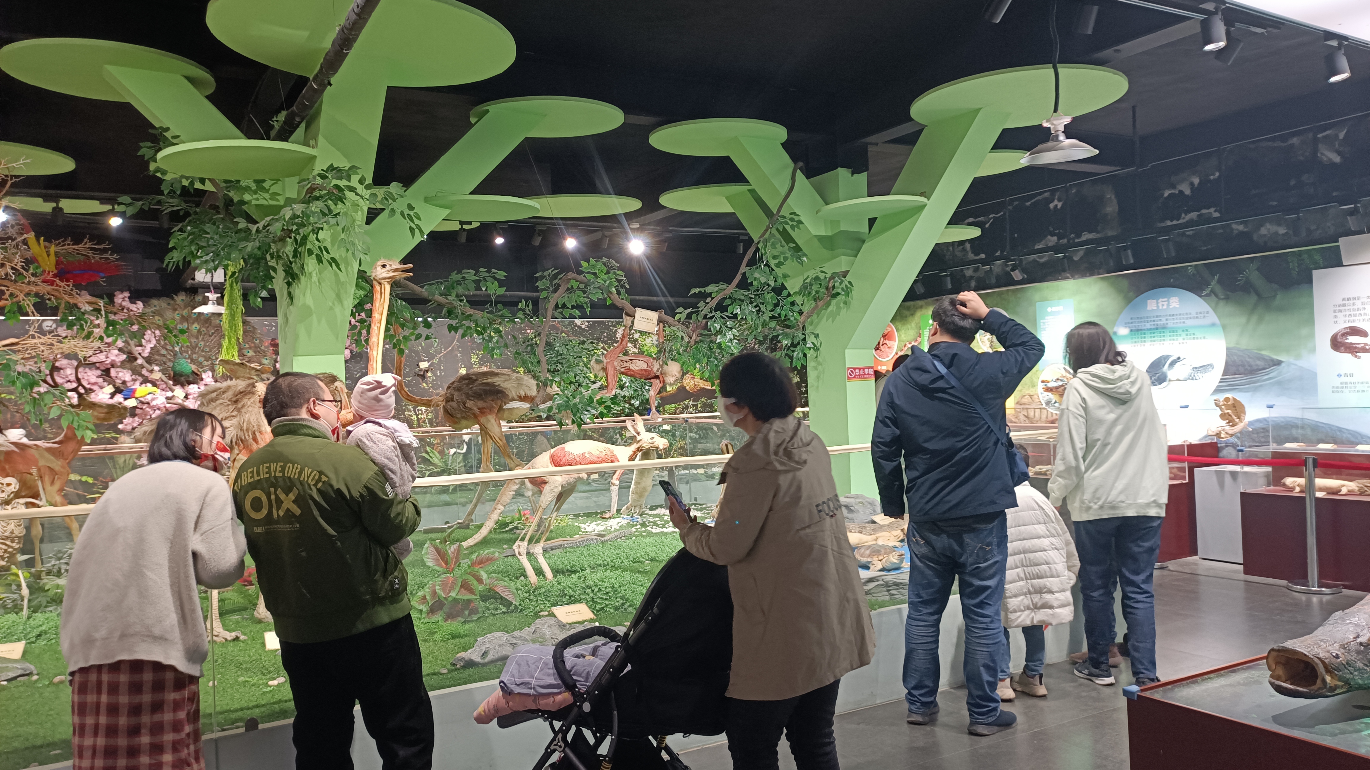 不负*光春**，来郑州人体科学院探寻生命进化证据