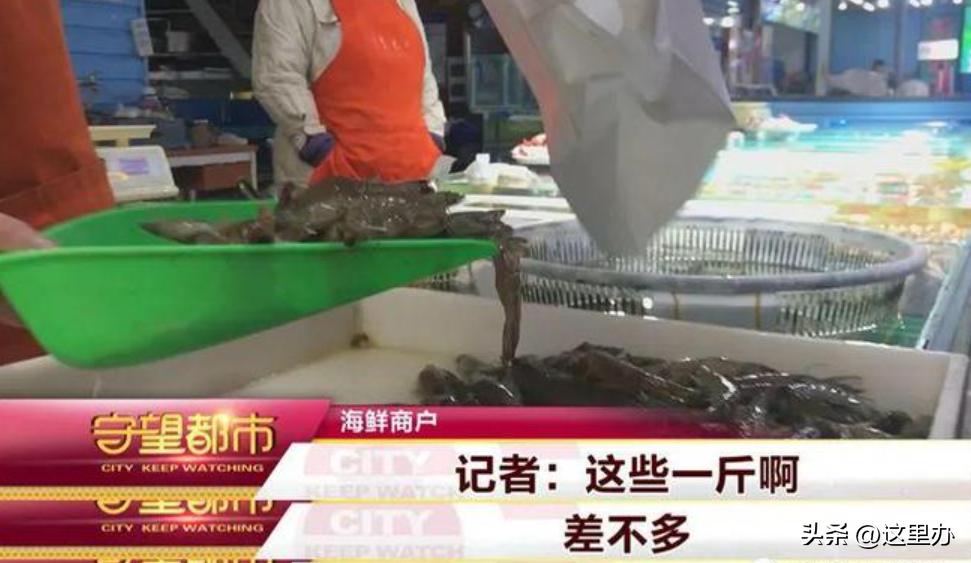 守望都市长春农博会,守望都市新闻线索