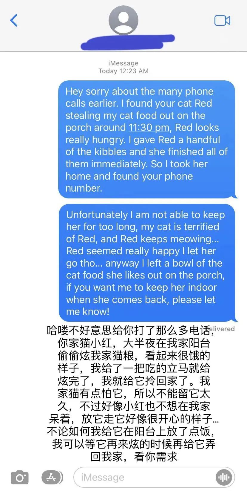 20多斤巨型橘猫,20斤的流浪橘猫