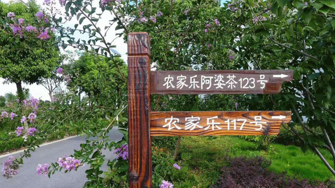 苏州淀山湖环湖大道上海湾,苏州淀山湖攻略