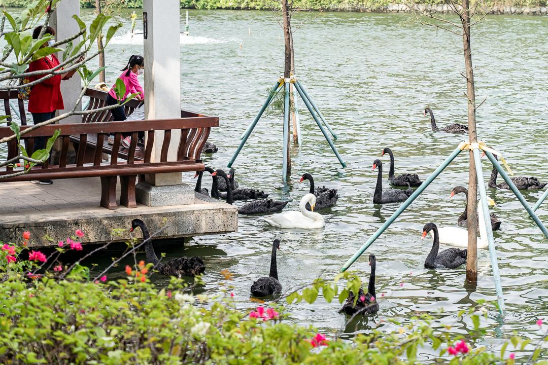 特种兵旅游第一人,八泉峡特种兵旅游攻略