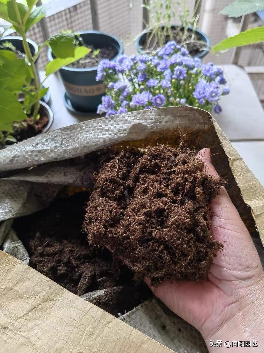 哪种进口泥炭土比较好,进口泥炭土大全