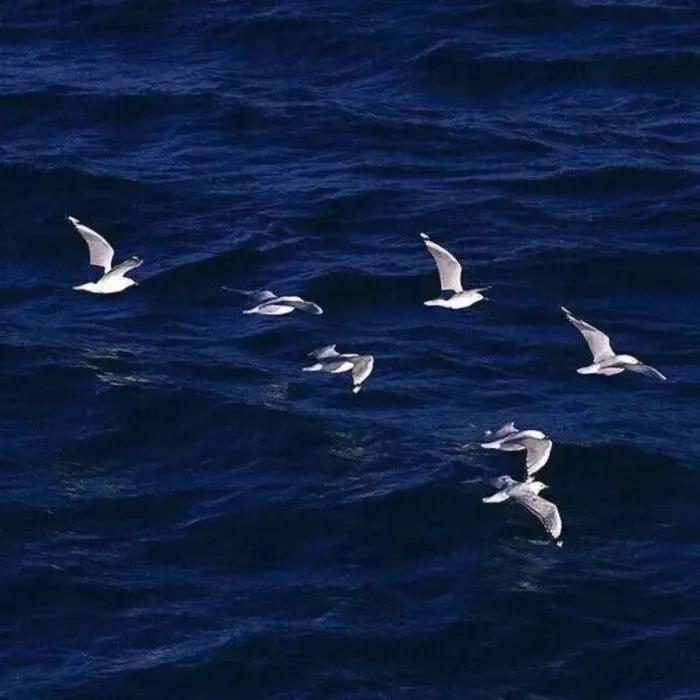 微信朋友圈背景图高清,最新微信素材大全