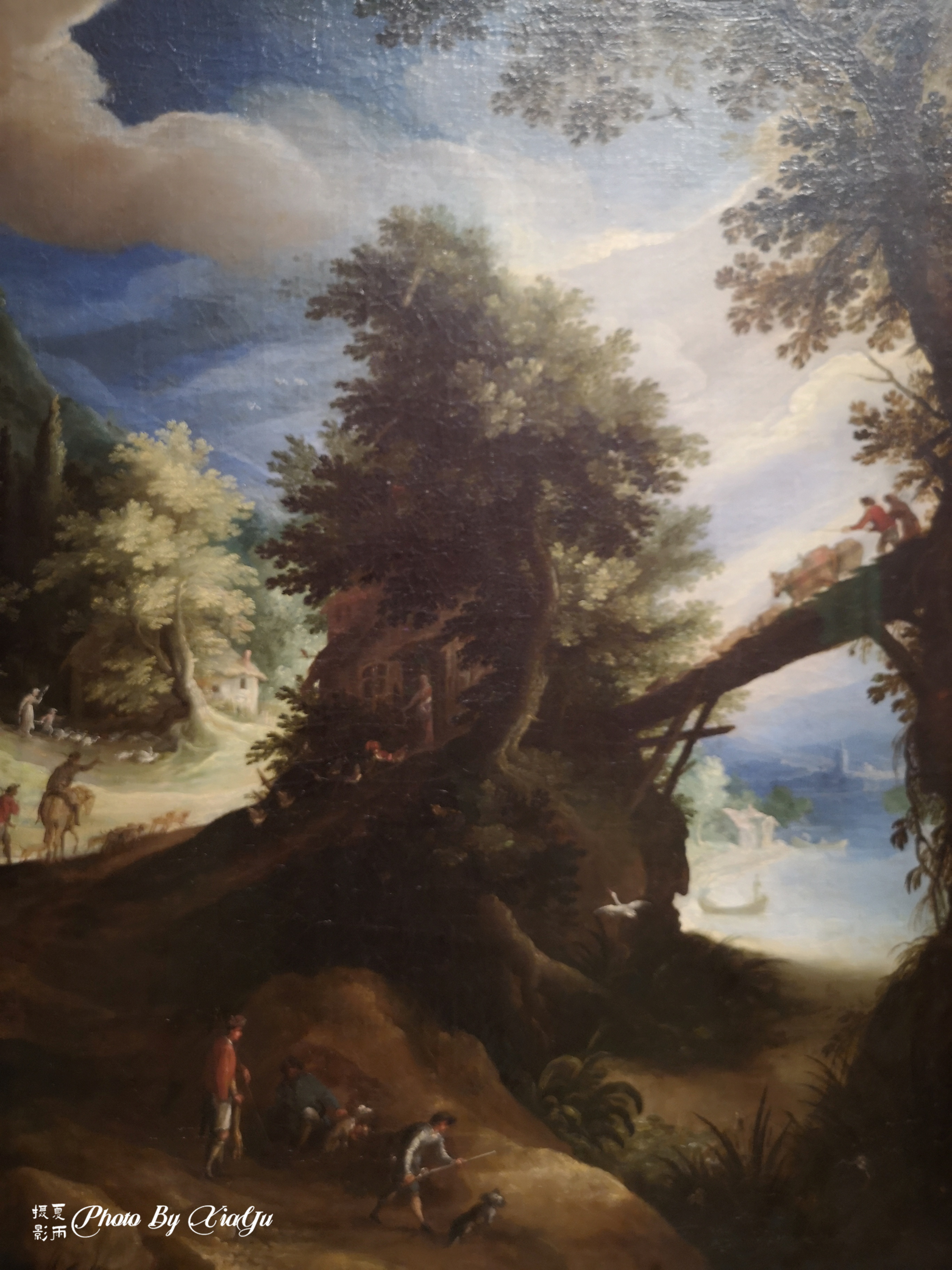 「畅游大洋洲」初识悉尼（五）