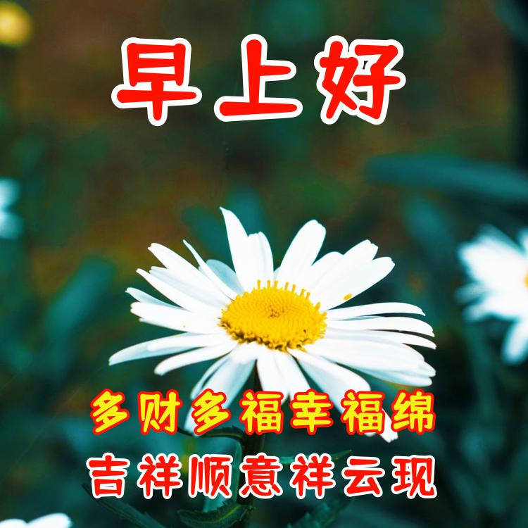 早上好转运发财祝福语,早晨吉祥如意天天发财祝福语
