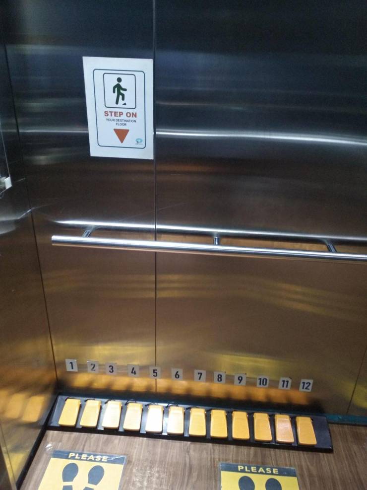 50件来自我们迷人星球的不寻常事物