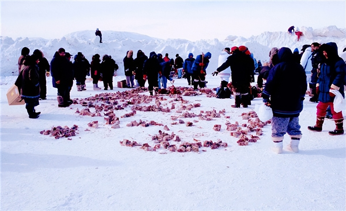 爱斯基摩人待客之道,爱斯基摩人有抛弃老人的习俗吗