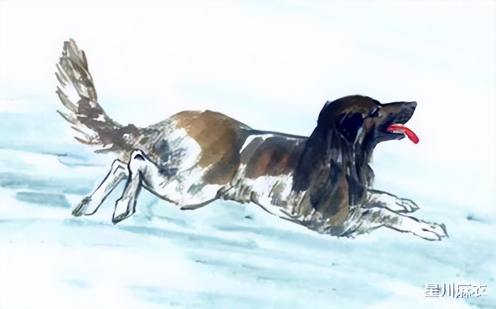 十一假期过后属狗属鸡属猪的财运,属鸡狗猪四月份运势